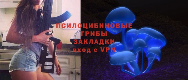 стафф Арсеньев