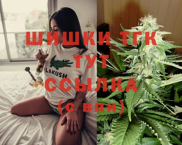 тгк Балахна